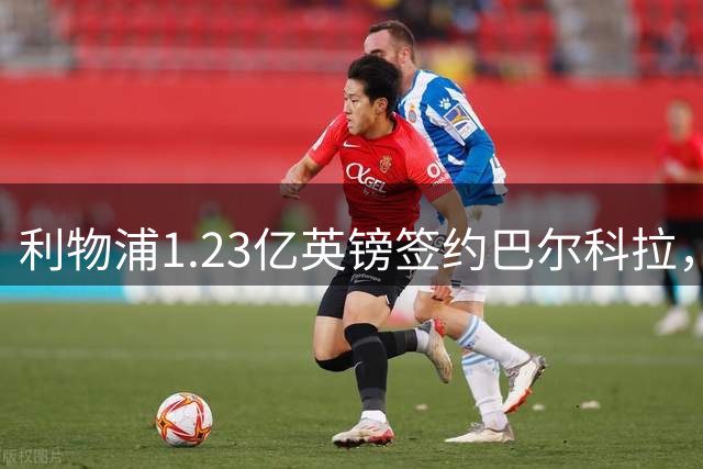 利物浦1.23亿英镑签约巴尔科拉，五年合同即将敲定